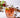 PASABAHCE Pasabahce Amber Waterglazen 350cc | 6 delig