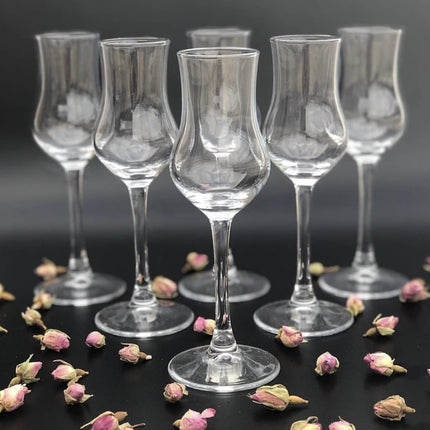 Perotti PRT GRECO BORRELGLAS 6 DLG