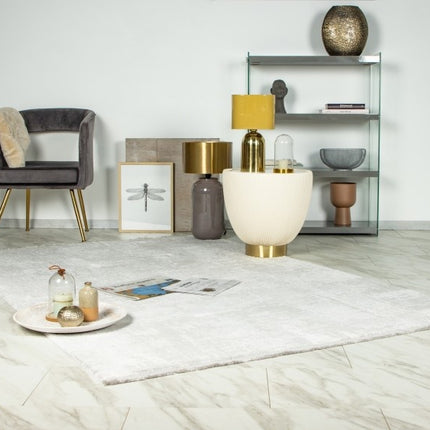 PIERRE CARDIN PIERRE CARDIN PALAIS 503 HALI SILVER