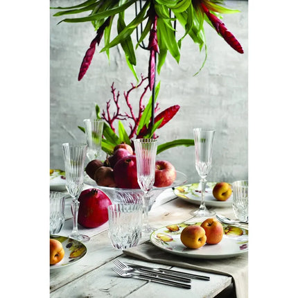 RCR Rcr Adagio Limonade Glazen 6 Delig