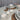 S & P Rocca Serviesset 16 delig | 4 Persoons Beige