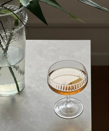 ZH RAY COCTAILGLAS / IJSSCHAAL 2 DELIG 255 ML