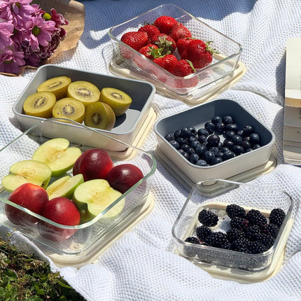 ZH Vera Vershoudbak rechthoekig | 1550 ML | Beige-transparant